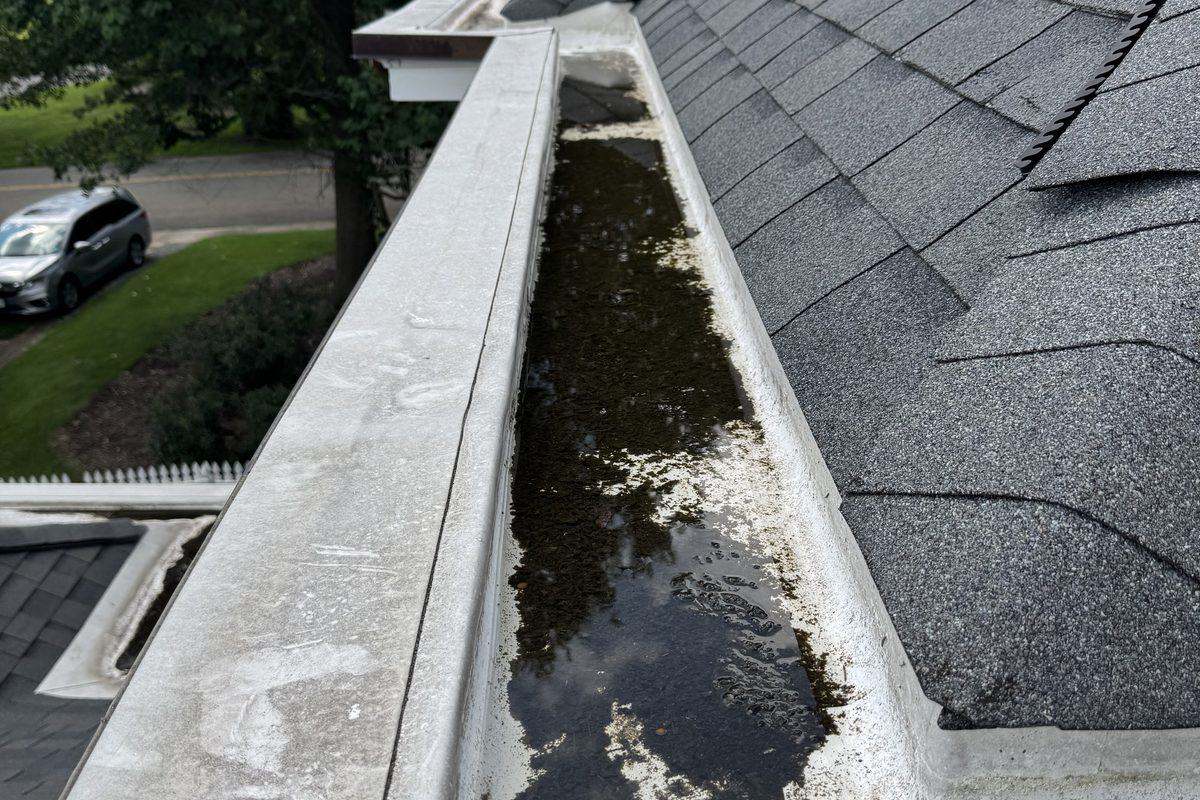 Storm debris in gutter · Radford